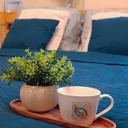 Blue Dream - Ochota - Easy Access To Chopin Airport & Banacha Hospital *