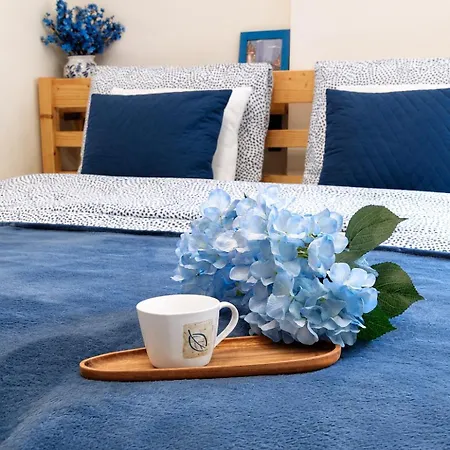 Blue Dream - Ochota - Easy Access To Chopin Airport & Banacha Hospital * Varsóvia