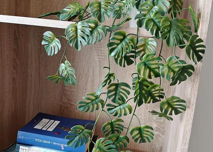 Blue Dream - Ochota Apartman