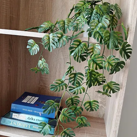 Blue Dream - Ochota Apartment